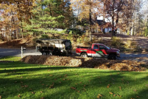 Leaf Removal