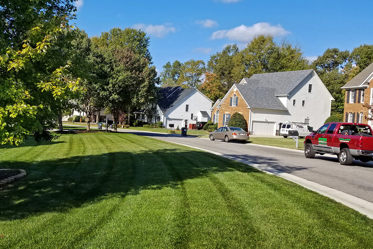 Why Choose Etter Etter Lawn Care Chesterfield VA